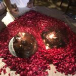 Birthday party with Rose